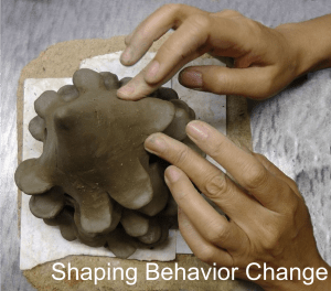 shaping
